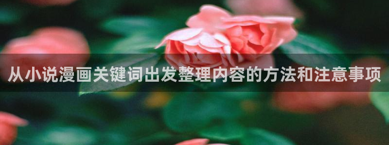 漫蛙漫画阅读入口：从小说漫画关键词出发整理内容的方法和注意事项