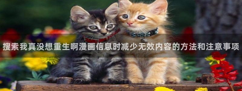 漫蛙漫画最新连载推荐:搜索我真没想重生啊漫画信息时减少无效内容的方法和注意事项