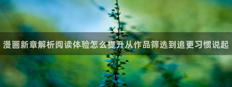 漫蛙漫画入口地址:漫画新章解析阅读体验怎么提升从作品筛选到追更习惯说起